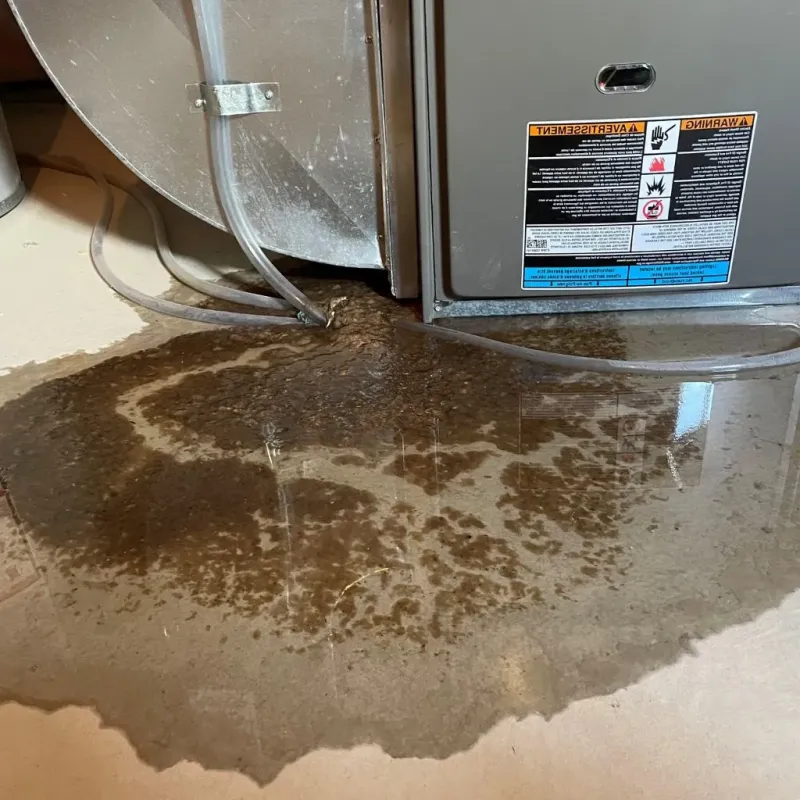 Pipe Burst and Leak Restoration in Exeter, NH